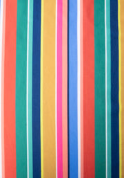 Barbs Multi Coloured Stripe Print Dress