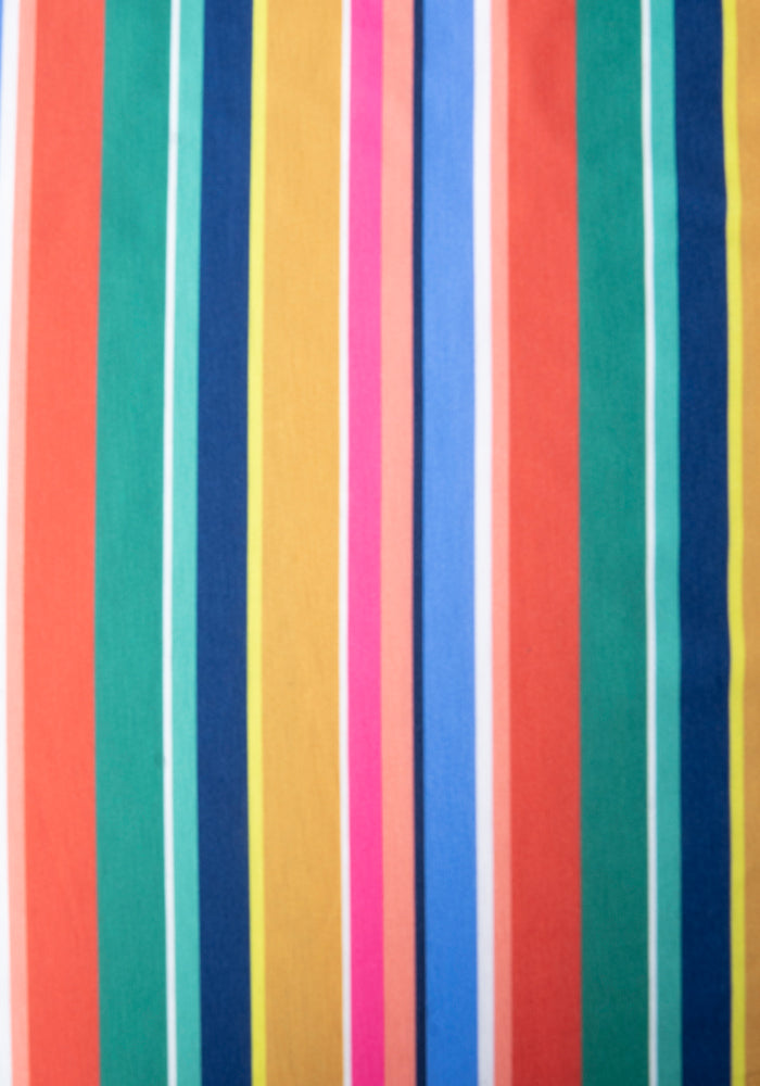 Barbs Multi Coloured Stripe Print Dress