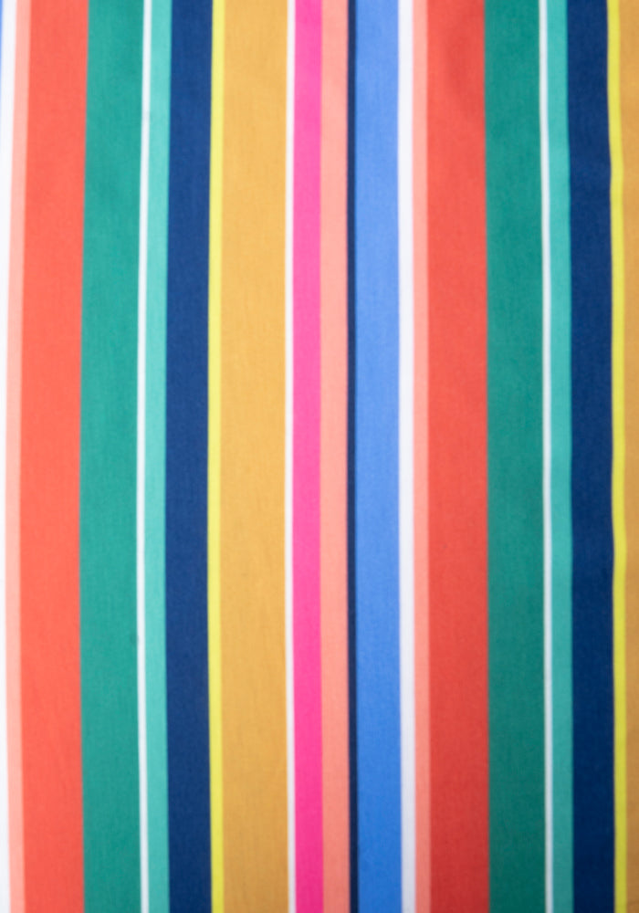 Barbs Multi Coloured Stripe Print Dress