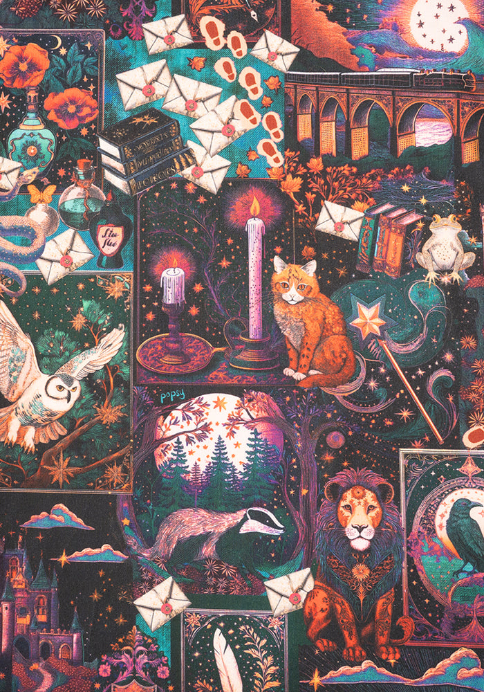 Carissa Wizards Story Print Dress
