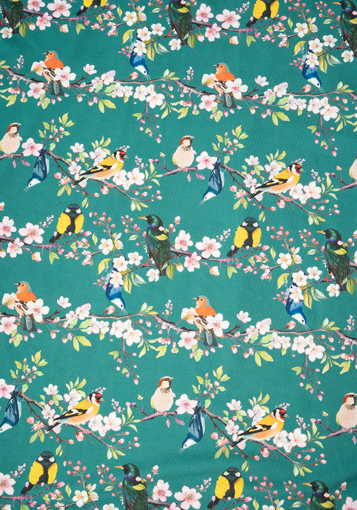 Chana Blossom Bird Print Midi Dress