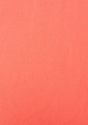 Coralie Coral Swing Dress