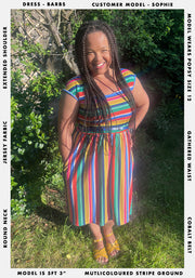 Barbs Multi Coloured Stripe Print Dress