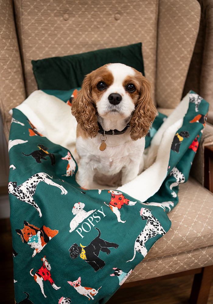 Posh Pooch Print Sherpa Pet Blanket