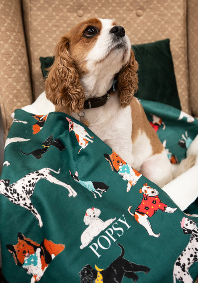 Posh Pooch Print Sherpa Pet Blanket