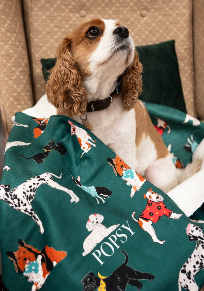 Posh Pooch Print Sherpa Pet Blanket