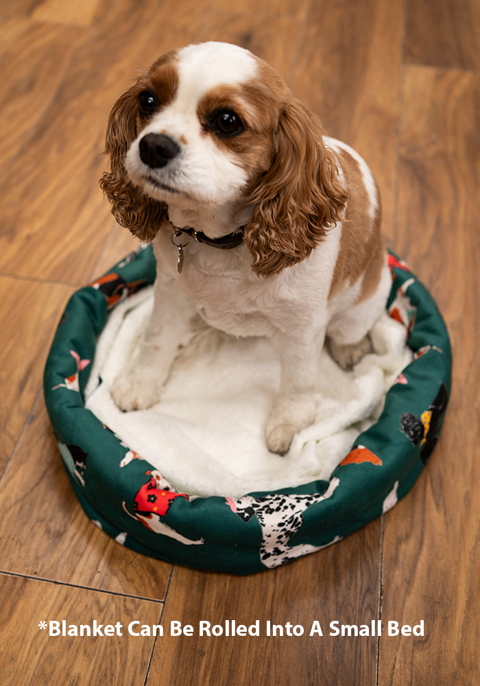 Posh Pooch Print Sherpa Pet Blanket