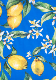 Lissia Lemons Print Dress