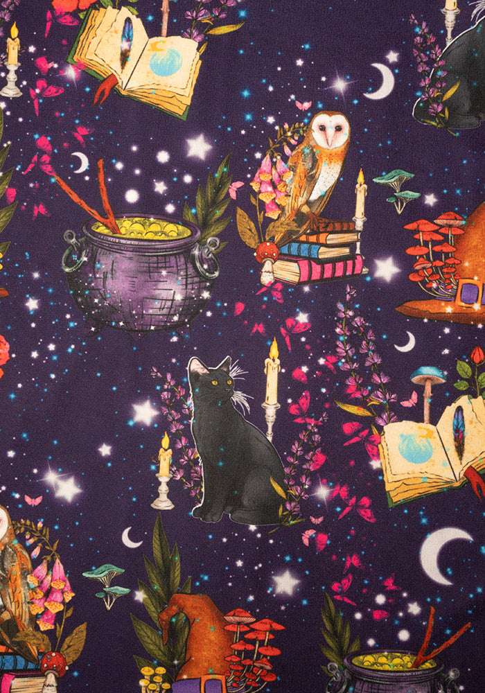 Magic Mystical Owl Print Dress