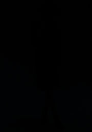 Marri Black Swing Dress