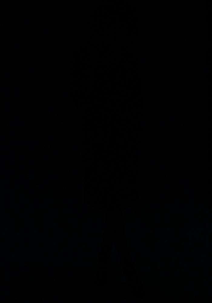 Marri Black Swing Dress