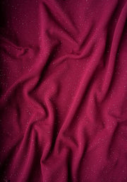 Bordeaux Wine & Silver Glitter Dress