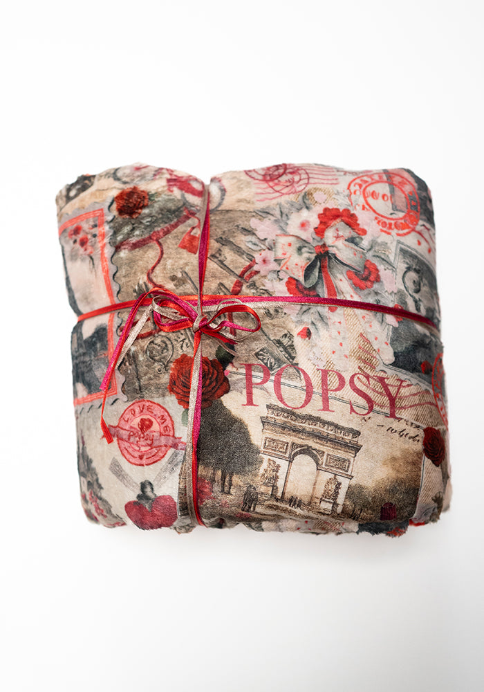 Front view of Pop-under Paris Print Plush Blanket