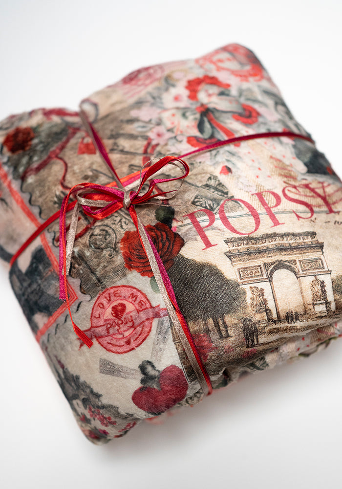 Third angle of Pop-under Paris Print Plush Blanket