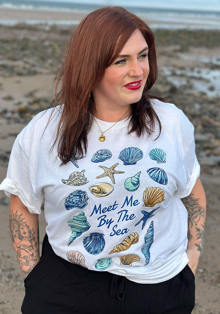 Third angle of Seashell Graphic Print T-Shirt (White)