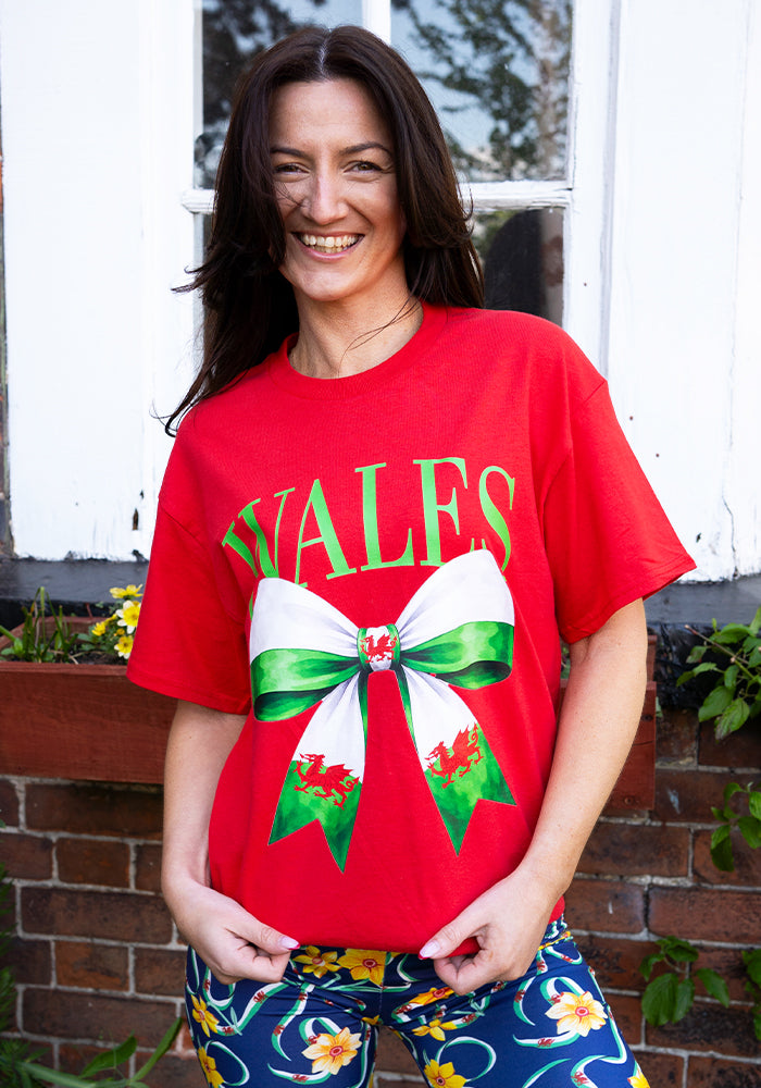 Front view of Red Wales Graphic T-Shirt, bold red t-shirt Wales graphic from Popsy Clothing.