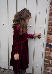 Children's Wine & Sparkle Dress (Ziya)
