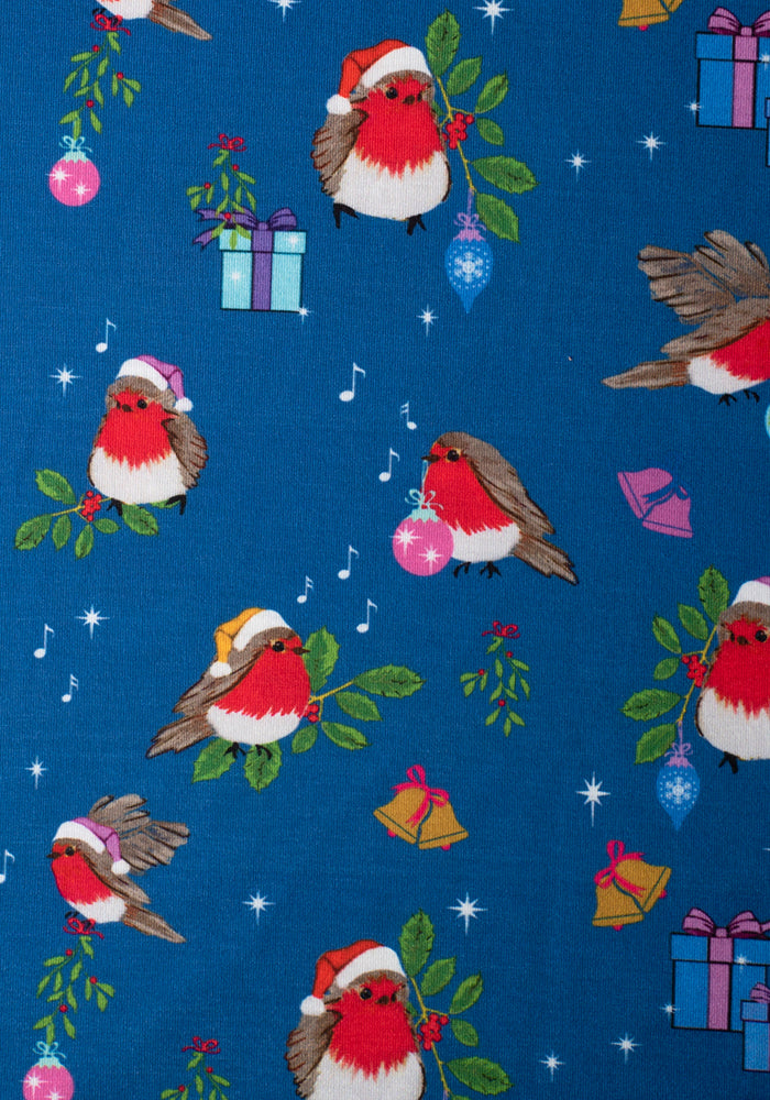 Aspen Christmas Robin Print Dress