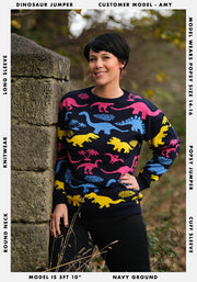 Multi Coloured Dinosaur Jumper