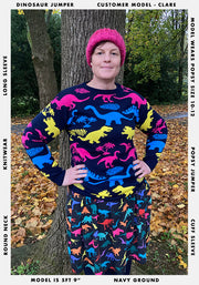 Multi Coloured Dinosaur Jumper