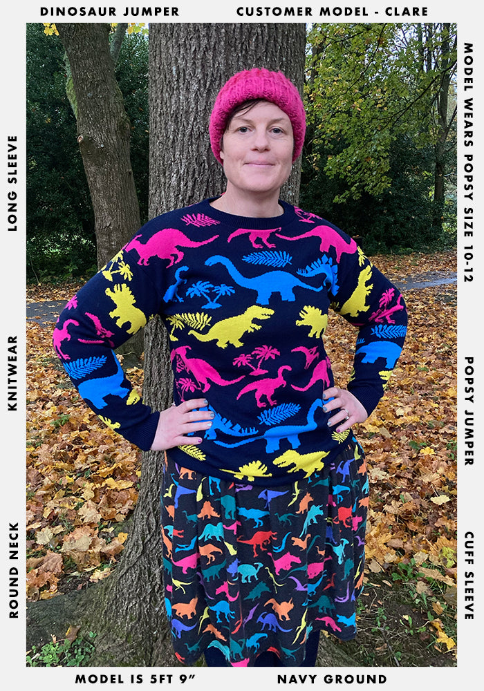Multi Coloured Dinosaur Jumper