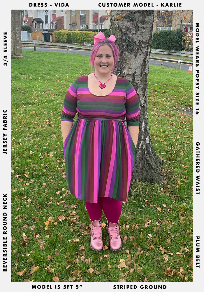 Vida Autumn Stripe Print Dress