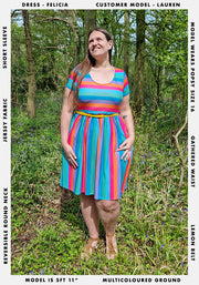 Felicia Rainbow Stripe Print Dress