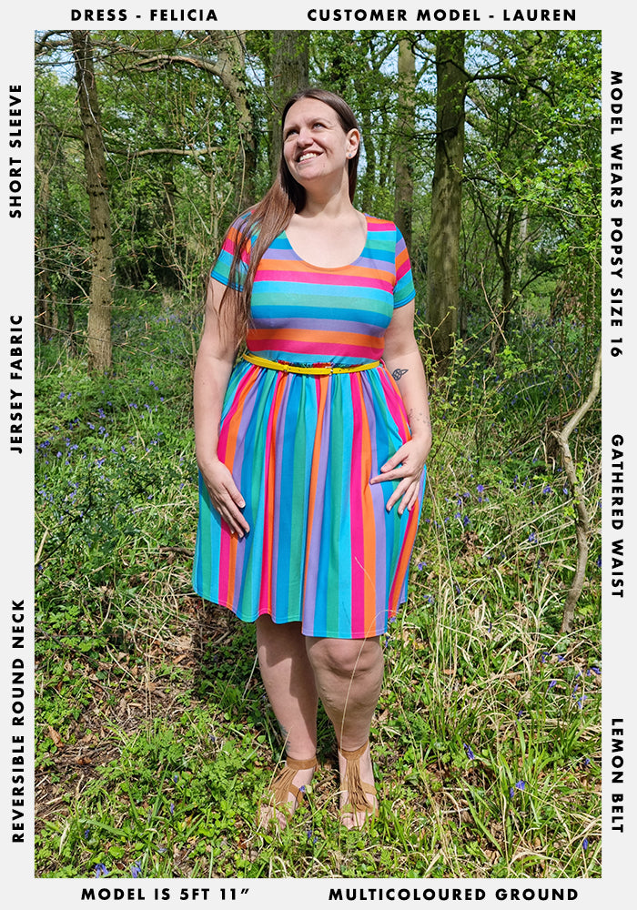 Felicia Rainbow Stripe Print Dress