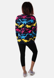 Multi Coloured Dinosaur Jumper