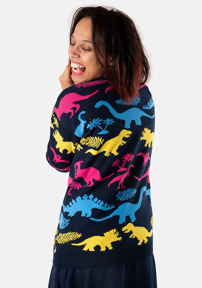 Multi Coloured Dinosaur Jumper