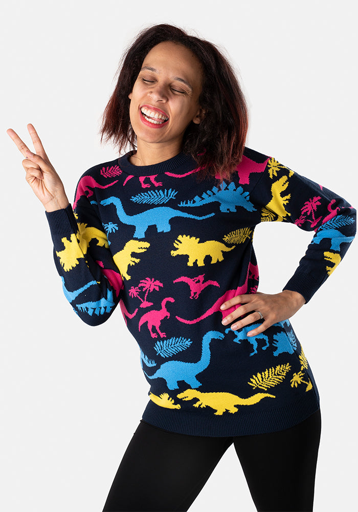 Multi Coloured Dinosaur Jumper