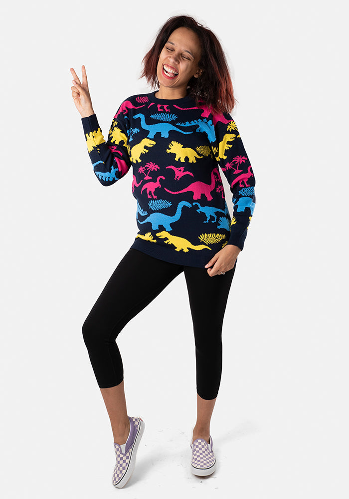 Multi Coloured Dinosaur Jumper