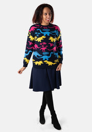 Multi Coloured Dinosaur Jumper