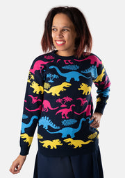 Multi Coloured Dinosaur Jumper