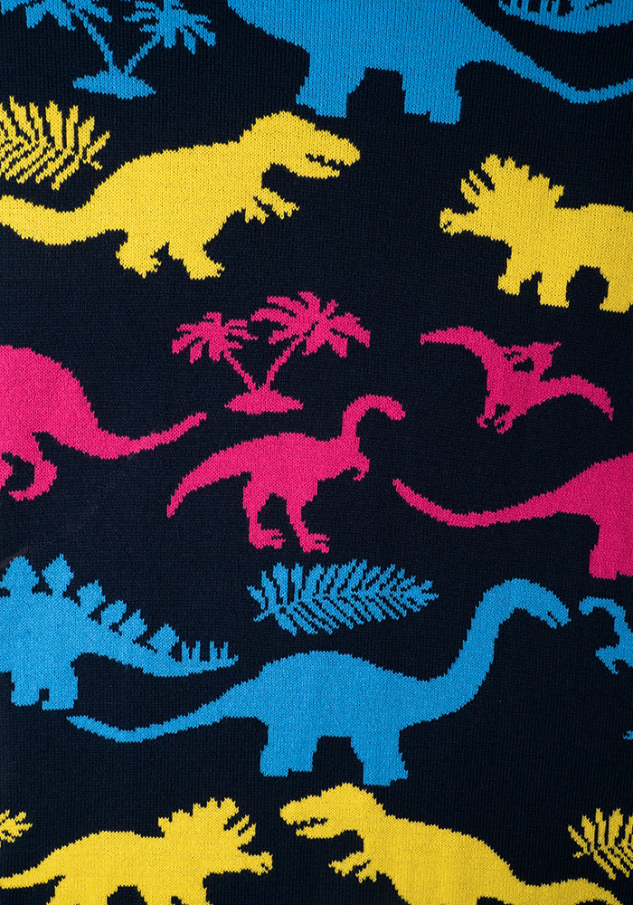 Multi Coloured Dinosaur Jumper