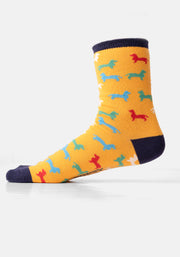 3 Pack Dog, Rainbow Star & Stripe Knit Socks