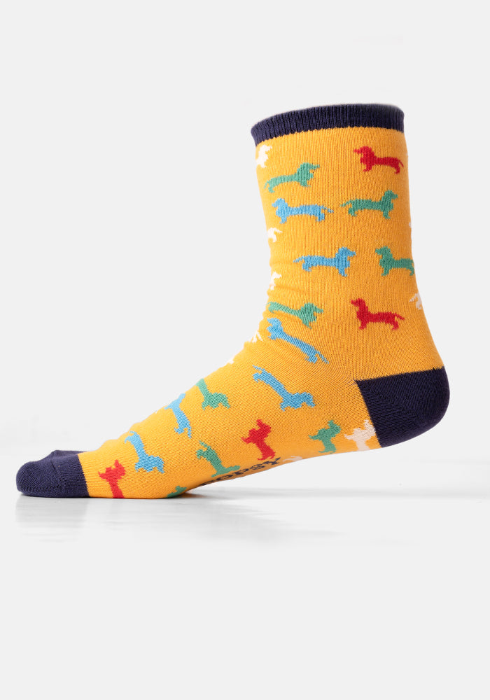 3 Pack Dog, Rainbow Star & Stripe Knit Socks