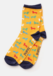 3 Pack Dog, Rainbow Star & Stripe Knit Socks