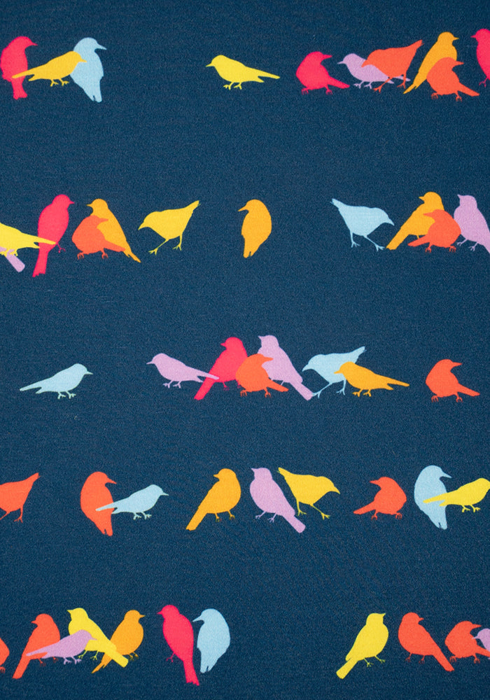 Ellie Multicoloured Bird Print Dress
