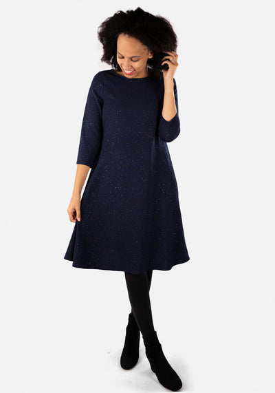Nessa Navy & Silver Glitter Trapeze Dress
