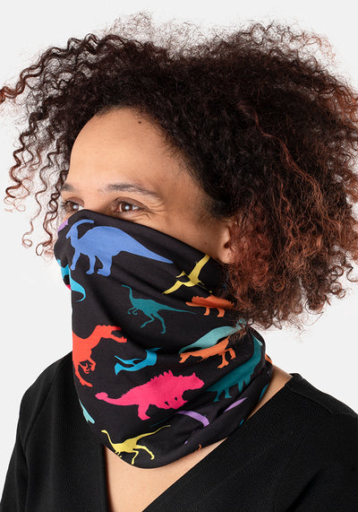 Dinosaur Print Reversible Popover (Cora)