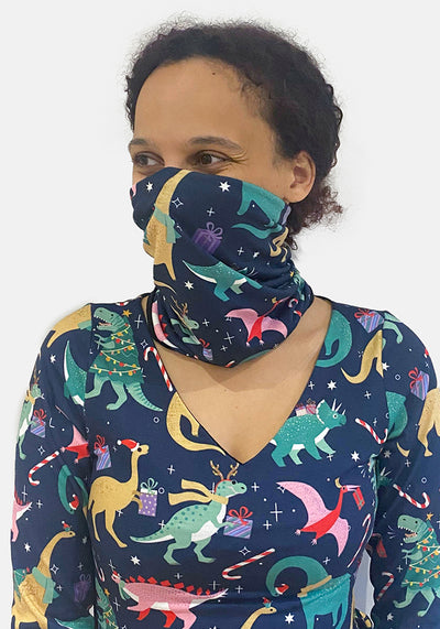 Christmas Dinosaur Print Reversible Popover (Merryasaurus)