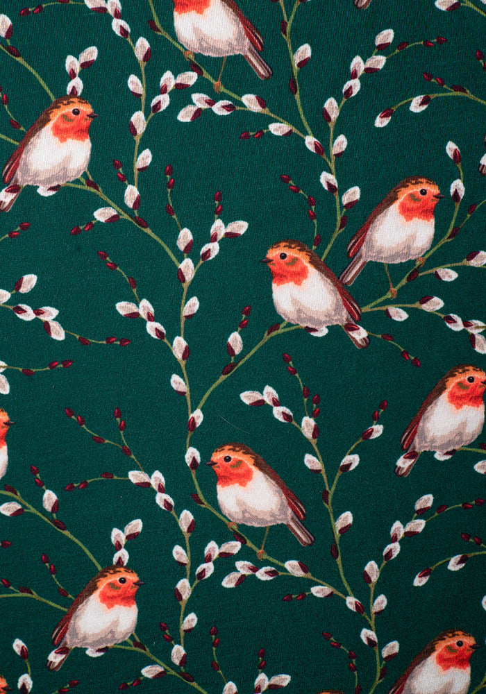 Robbi Green Robin Print Dress