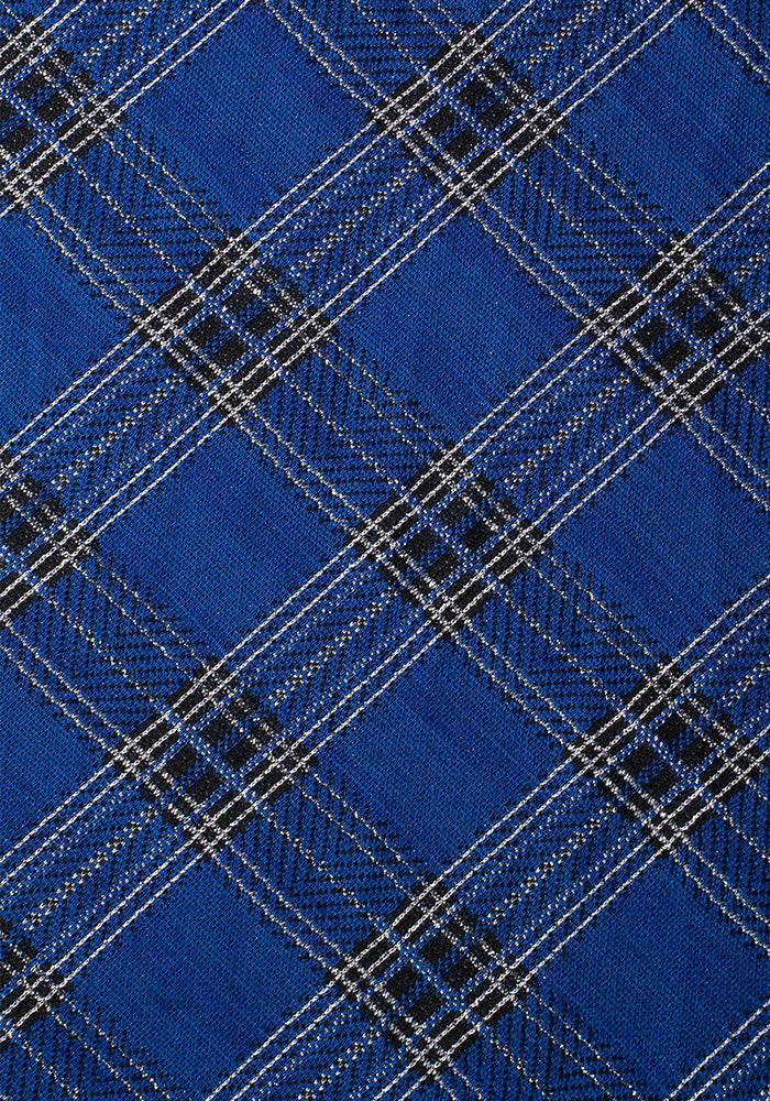 Tara Blue Tartan Swing Dress