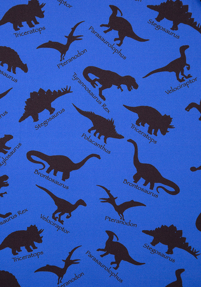 Demi Navy Dinosaur Print Dress