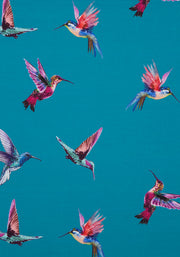 Jackie Teal Hummingbird Print Dress